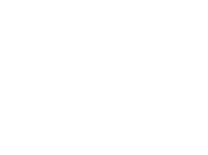 Dr Paige Williams